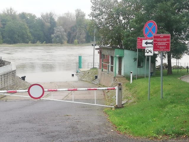  Zobacz, jak wygląda Odra w Bytomiu Odrzańskim i Wrocławiu na kolejnych slajdach. Posługuj się klawiszami strzałek, myszką lub gestami 