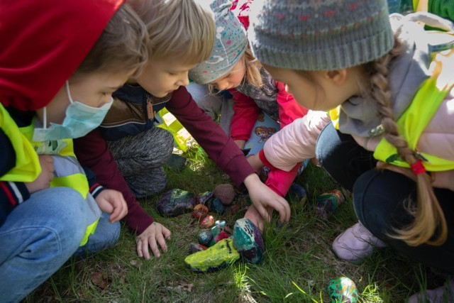 Pierwszych kolorowych kamyków w Bydgoszczy można szukać w Parku Ludowym im. Wincentego Witosa, bo tam dzieciaki z Centrum Edukacji Montessori w Dzień Ziemi (22 kwietnia 2021 r.) ukryły pomalowane przez siebie kamyczki i tym samy oficjalnie rozpoczęły grę terenową #montekamyki