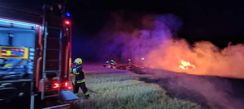 Wieczorne pożary pustostanu oraz pola [ZDJĘCIA]