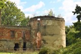 Przy XVI-wiecznym zamku Fredrów we Fredropolu koło Przemyśla powstanie Twierdza Wykluczonych Zwierząt [ZDJĘCIA]
