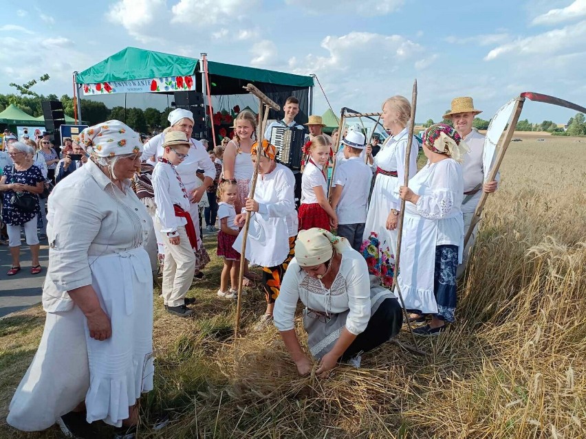   Tak wyglądało tradycyjne żniwowanie nad zalewem Maczuły w gminie Leśniowice. Impreza przyciągnęła mnóstwo osób.  Zobacz zdjęcia