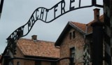 Obywatel Izraela sikał na schody pomnika w Auschwitz Birkenau. Przyznał się do winy