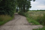 Gmina Chocz. Radni nie zgodzili się na zaplanowaną wersję budowy drogi w Niniewie. Burmistrz musi oddać pieniądze