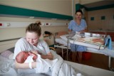 Fototapeta ze zdjęć noworodków urodzonych w Piekarach pojawi się we wnętrzach szpitala