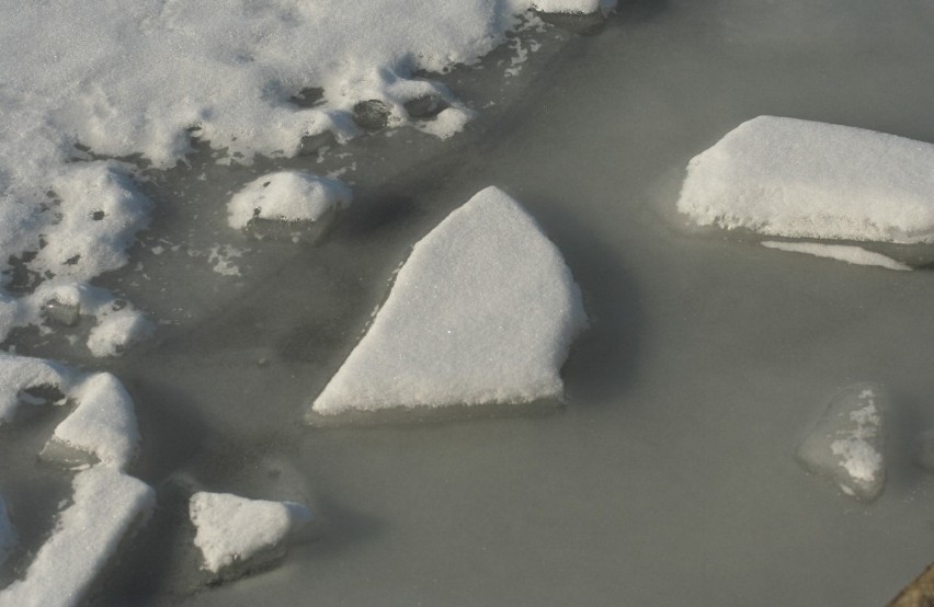 Zalew Zemborzycki: Uwaga na kruchy lód