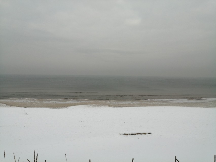 Bałtyk w zimowej oprawie. Plaża w Stegnie przyozdobiona śniegiem