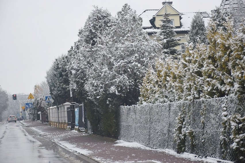 Pierwszy śnieg w Kraśniku. W mieście zrobiło się biało. Zobacz zdjęcia z zimy 2020 w Kraśniku
