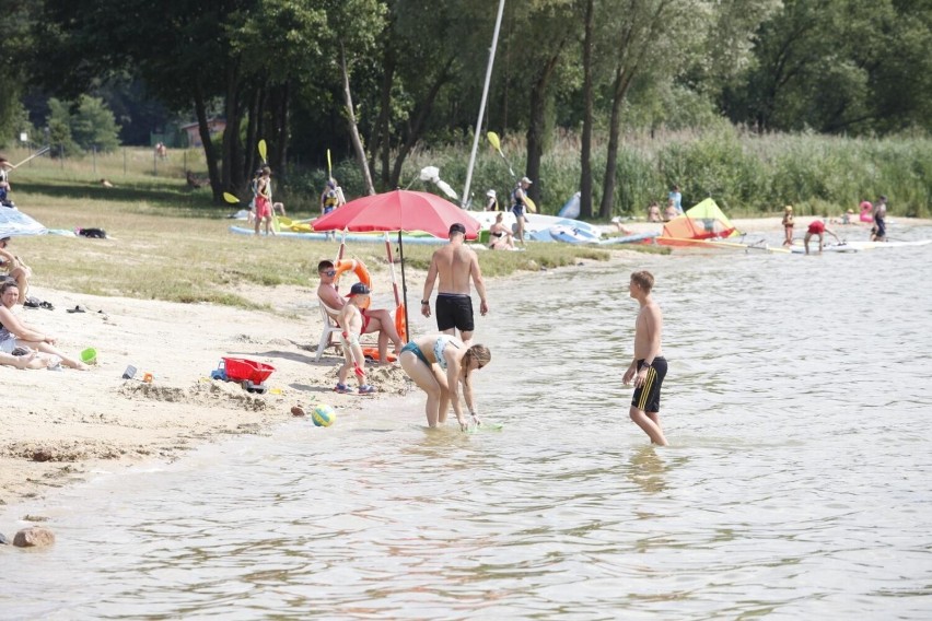 Najbardziej charakterystycznymi w Polsce bakteriami,...