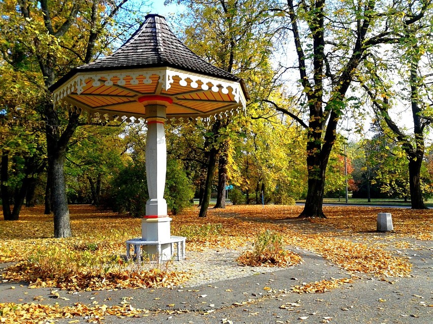 Jesienny Toruń - 2014