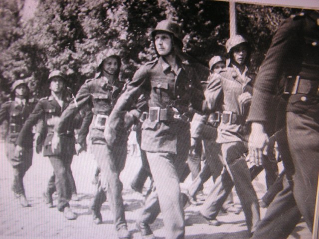 Elbląscy strażacy podczas defilady 22 lipca 1945 roku