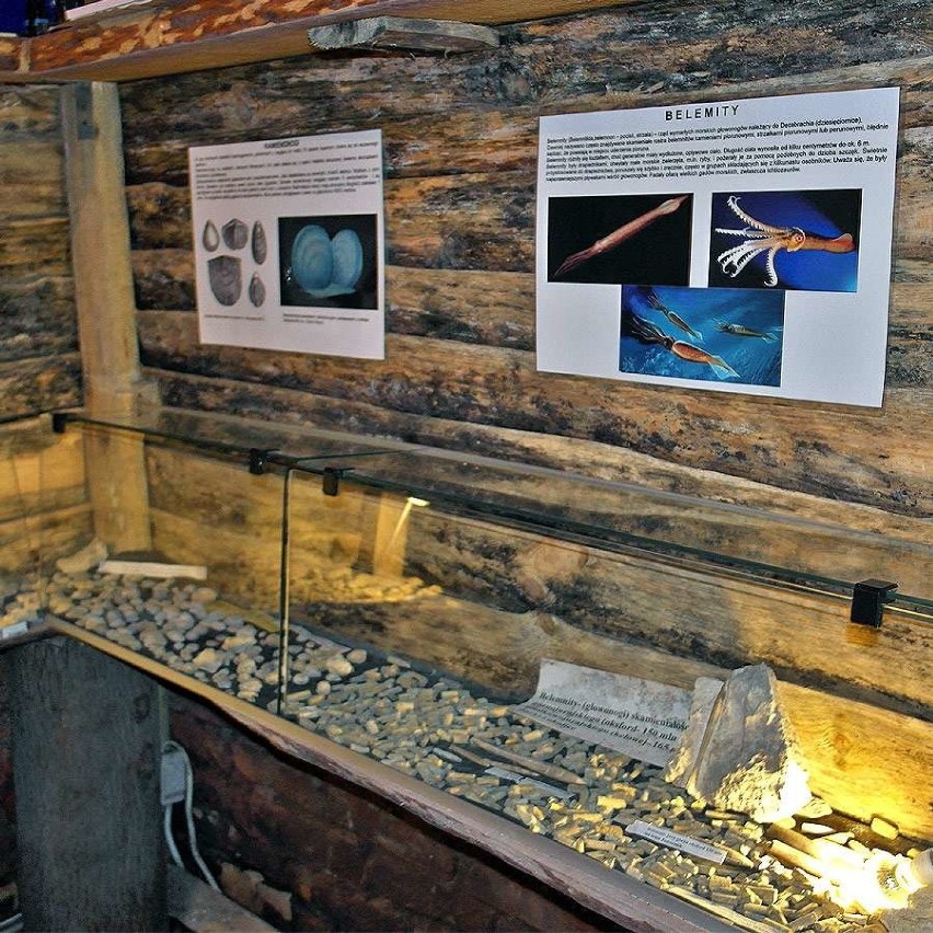 Wystawa Amonitów Skarby Jury w Leśniowskim Sanktuarium [ZDJĘCIA]