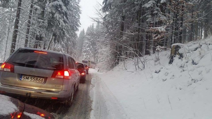 Zdjęcie pochodzi z serwisu:Cieszyn i okolice - informacje...