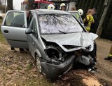 16-latek z 13-letnim pasażerem rozbił się na drzewie. Wcześniej zabrał auto rodziców. Nie odnieśli obrażeń