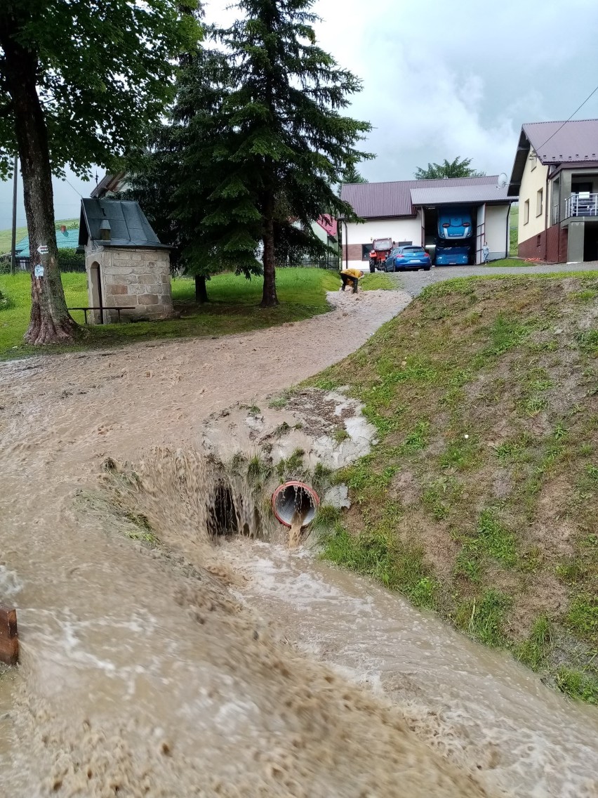 Kolejne podtopienia w gminie Nowy Żmigród. W Kątach woda zalała drogę i posesję [ZDJĘCIA]