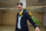 Odwiedziliśmy lubińską papugarnię! Otwarcie już 1 maja. Zobaczcie zdjęcia 