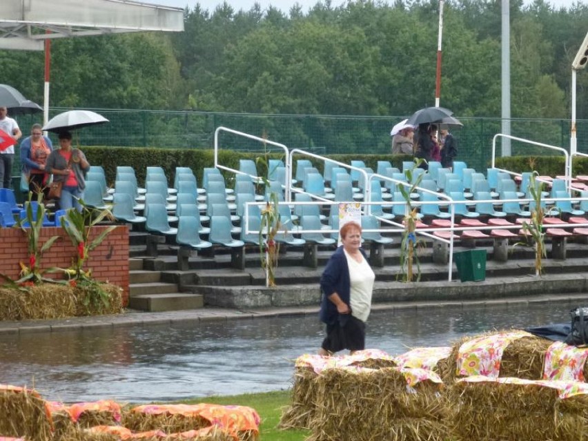 Dożynki w Śremie 2014 - jak ludzie dostawali się na stadion?...