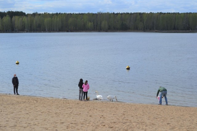 Udostępnienie lasów, parków  i plaż dla spacerowiczów spowodowało, że w Pieczyskach w miniony weekend spotkać można było pierwszych gości.