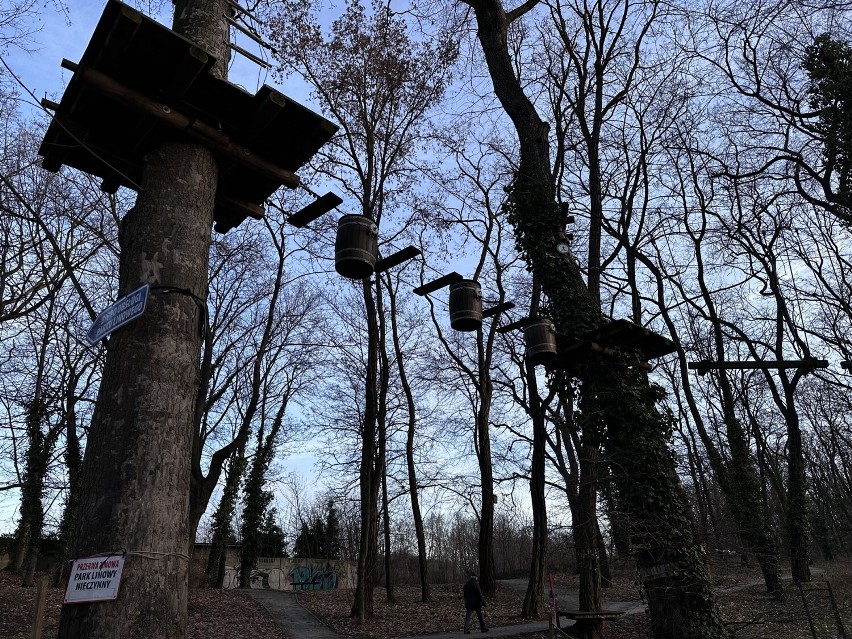 Parki linowy w Głogowie