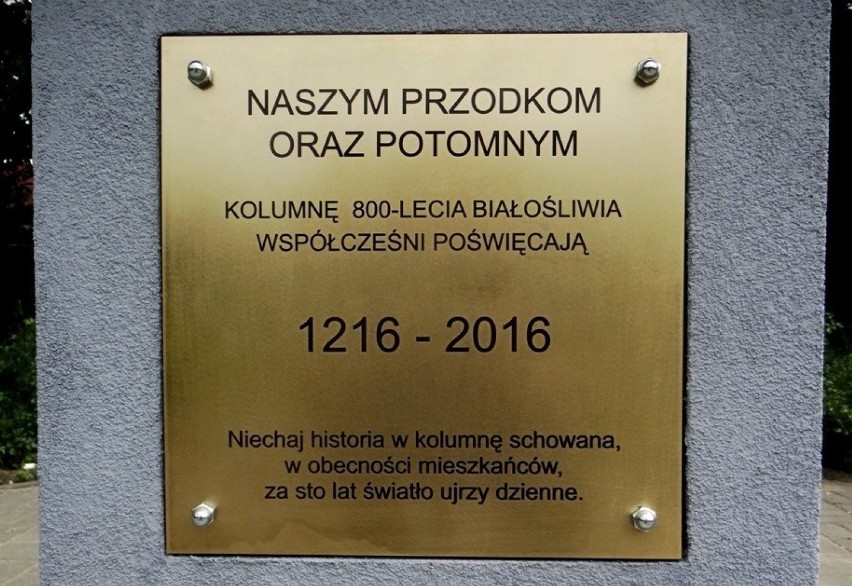 Zwiedzamy Wielkopolskę. Wyjątkowe miejsca i zabytki w gminie Białośliwie 