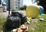 Wywóz śmieci w Gdańsku. Za odpady zapłacił co czwarty najemca. 'Żółta kartka' za brak segregacji