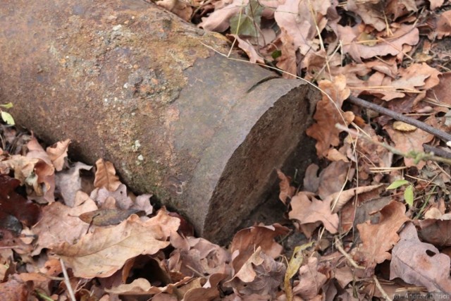 Jedyne na świecie zachowane egzemplarze eksperymentalnej broni - hitlerowskiej Wunderwaffe - odnaleziono w Gdyni-Babich Dołach