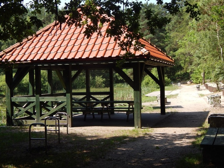 W upalne dni warto wybrać się spacerkiem nad Stawek Upiorów w Ustce