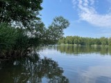 W ten weekend wybierz się na spacer z przewodnikiem. Zielonogórskie PTTK ma dla Ciebie dwie propozycje