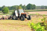 Kłopoty rolników w powiecie szamotulskim