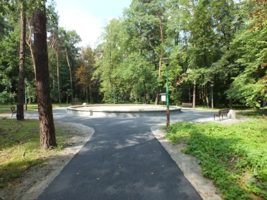 Alejki w parku W. Skarbka-Borowskiego w Dębicy
