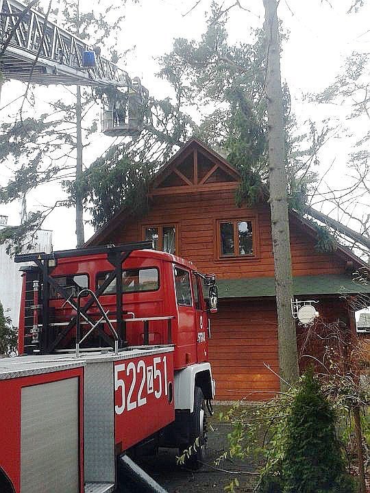 Skutki wichury w Darłowie i Darłówku