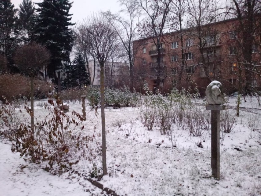 Ogród Botaniczny Uniwersytetu Kazimierza Wielkiego jest już...