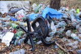 Sterty śmieci w Skierniewicach. Znaleźli sobie dobre miejsce na dzikie wysypisko [ZDJĘCIA]