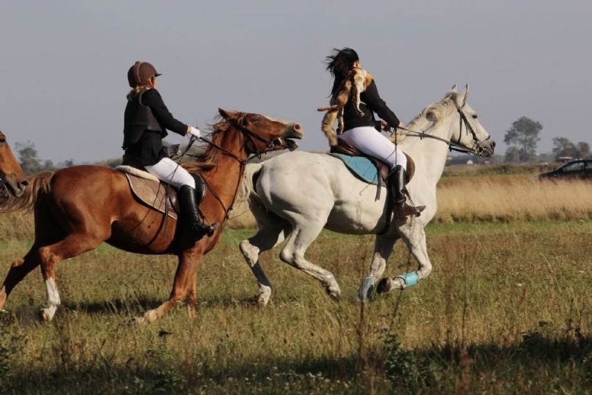 W sobotę XIV Hubertus Łęczycki. Zaplanowano liczne pokazy i...