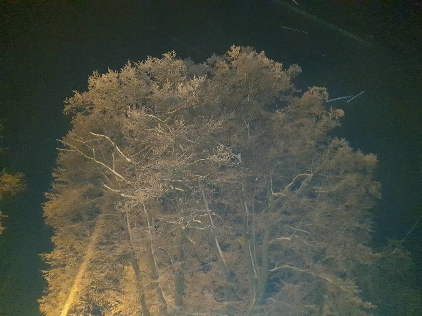 Zima w powiecie kościerskim. Nocne zdjęcia. Solidnie popadało w całym regionie. Uważajcie na drogach [GALERIA]