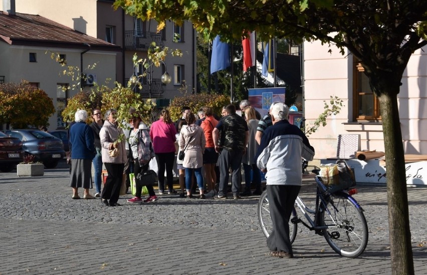 W Tuchowie przybędzie lip za sprawą wspólnej akcji urzędu gminy i pszczelarzy