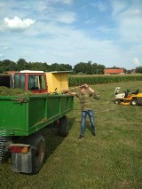 Kolejne porządki w Siekierowicach               