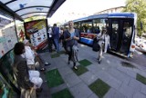 Więcej kursów linii autobusowej nr 187