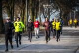 72. Parkrun w Lesie Aniołowskim w Częstochowie. Tym razem na starcie stanęło ok. 30 biegaczy