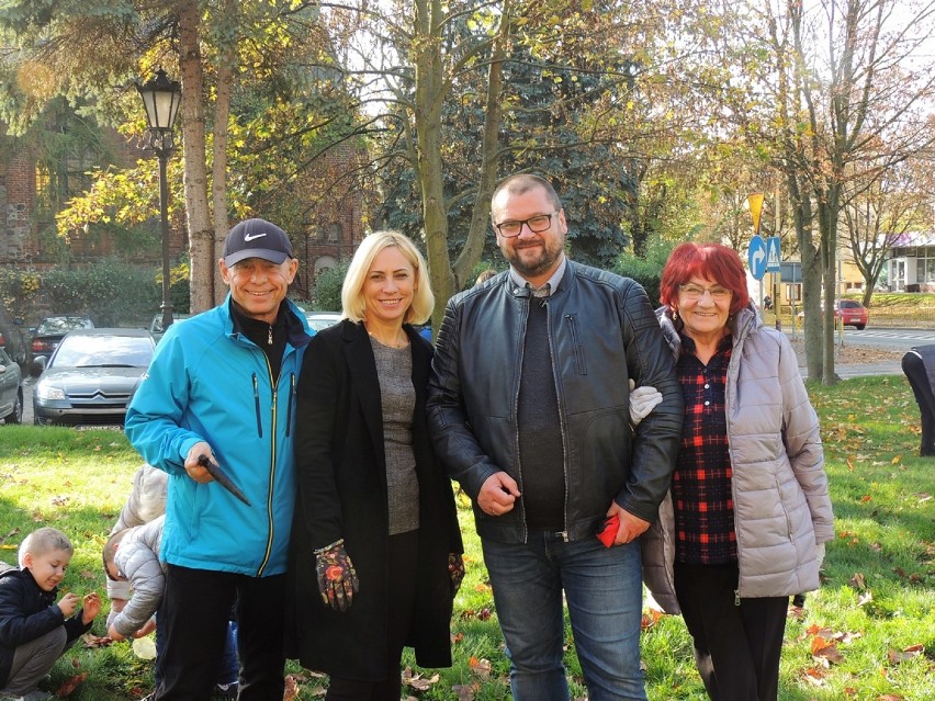 Akcja sadzenia krokusów przed budynkiem naszej gminy [ZDJĘCIA] 