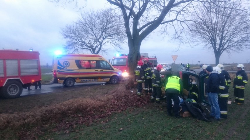 Bojanice koło Gniezna: samochód uderzył w drzewo
