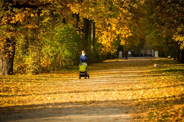 Pogoda Łódź