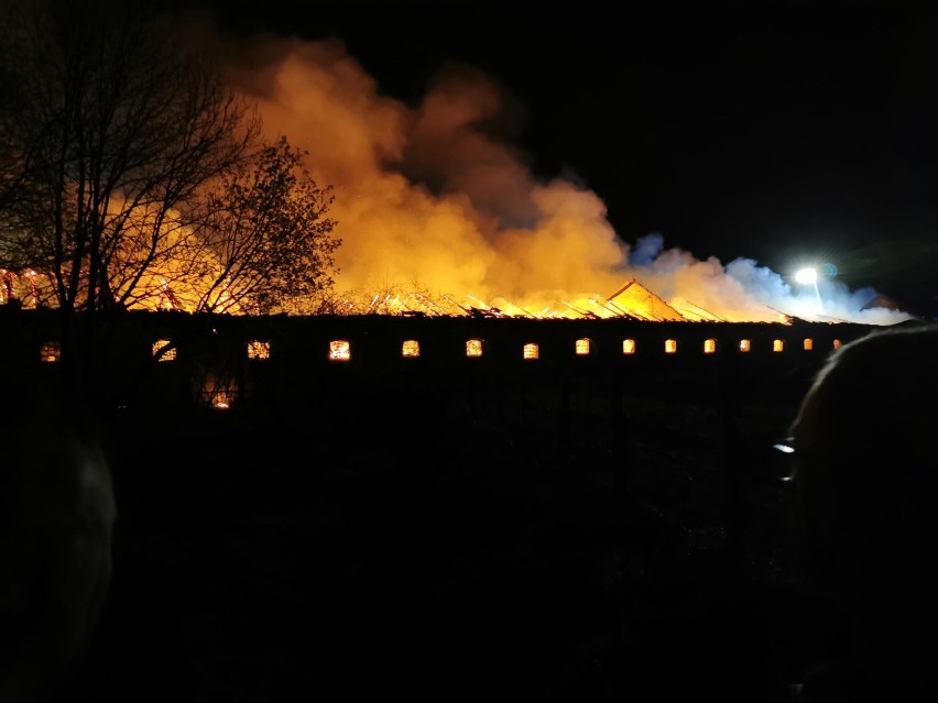 Kolejny pożar w Pawłowie Skockim pod Skokami. W nocy interweniowała straż