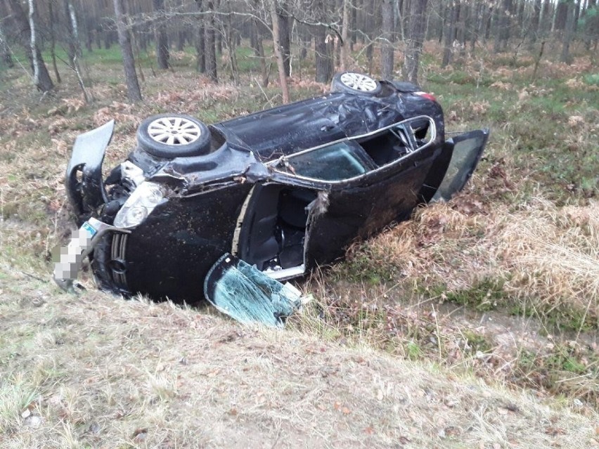 Wypadek na DK 91 w okolicach Radomska. Samochód zderzył się z łosiem i dachował