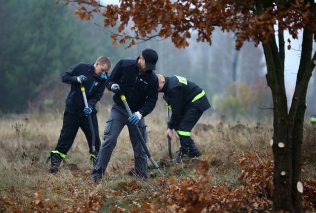 W niedzielę w Rozprzy odnaleziono i oczyszczono kolejne macewy, a teren cmentarza oznaczono