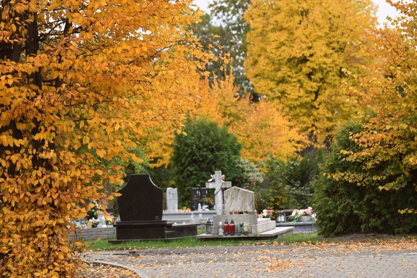 Powoli zbliża się 1 listopada. Na cmentarzach trwają porządki przed tradycyjnym świętem