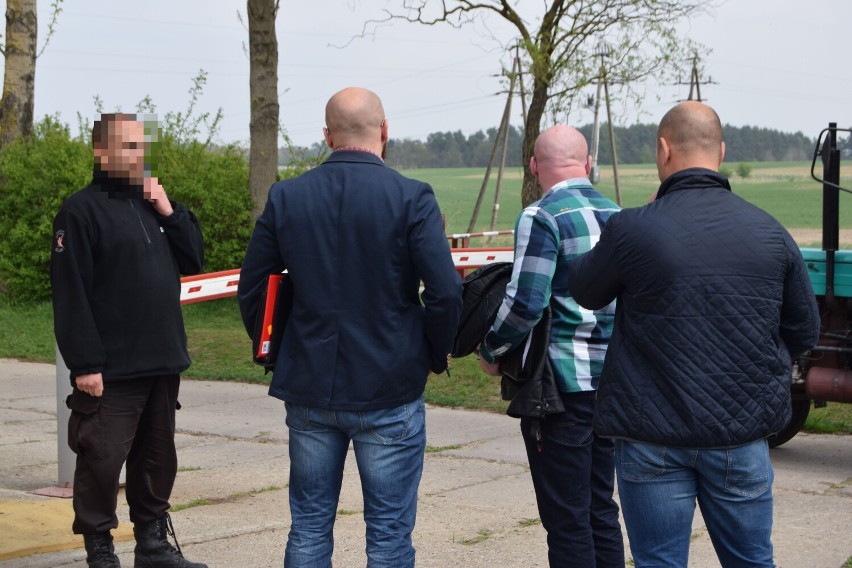 W sądzie w Szczecinku ruszył proces w sprawie uboju w świńskiej fermie koło Barwic [zdjęcia]