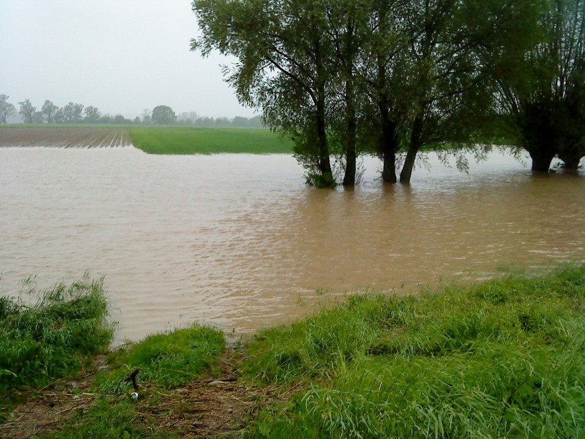 Powódź 2010 w rejonie Bochni