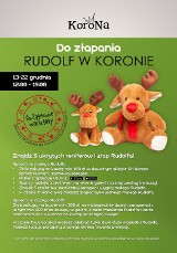 Wrocław. Możesz dostać renifera w centrum Korona. Przeczytaj, co musisz zrobić...