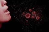 Trzynaście nowych  przypadków odnotowano  zakażenia koronawirusem w Wielkopolsce