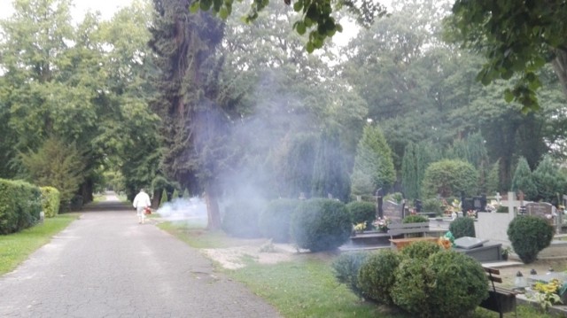 Walka z komarami była podejmowana m.in. na stargardzkich cmentarzach i w parkach.